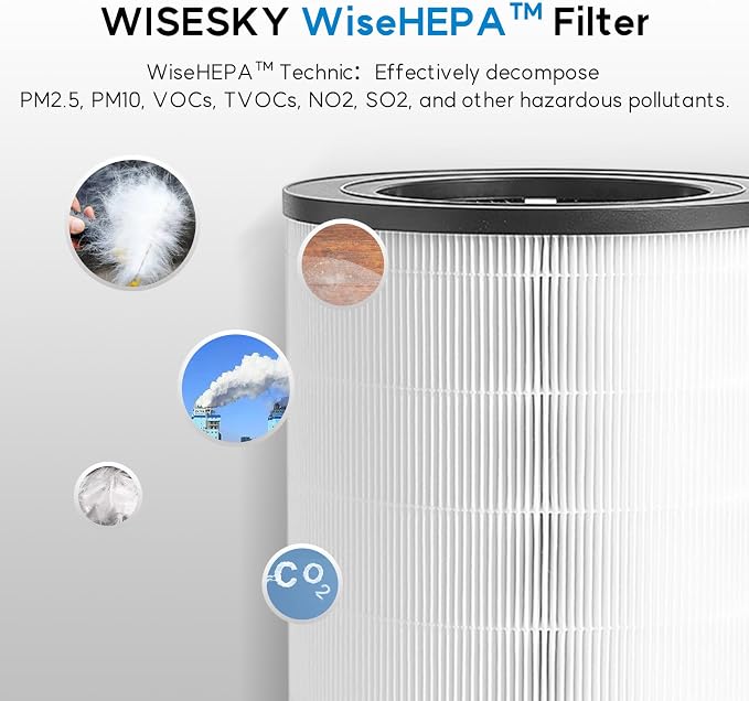 WiseHEPA Carbon Replacement Filter Compatible
