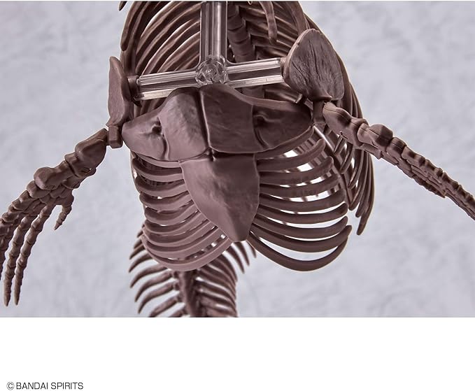Bandai Hobby - Mosasaurus Imaginary Skeleton 1/32 Dinosaur Model Kit