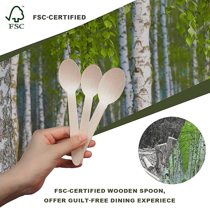 360 Pcs Disposable Wooden Spoons, Compostable Spoon Set