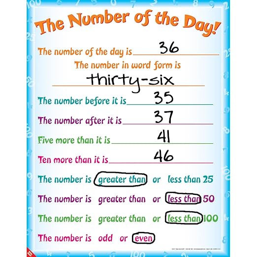 Really Good Stuff Number of The Day! Poster - 1 Poster