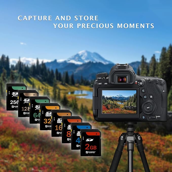 Canon Powershot SD870 is Digital Camera Memory Card 2GB Standard Secure Digital (SD) Memory Card