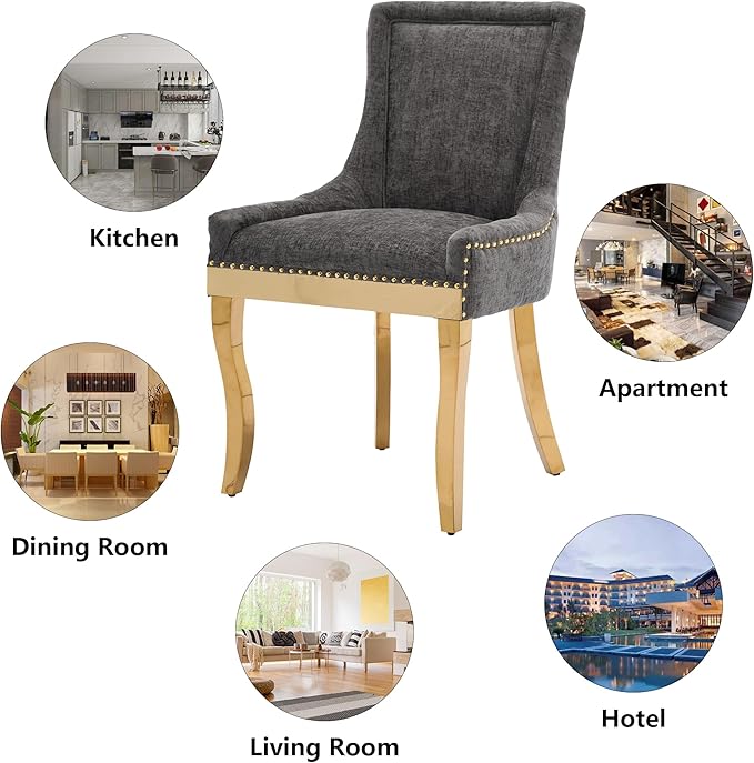 Luxury Fabirc Upholstered Dining Chairs Set of 4,Neutral Chenille Kitchen Room Chair with Nailhead Trim,4 Piece Modern Side Chairs for Dining Room,Living Room,Bar (Grey-Gold, Set of 4)