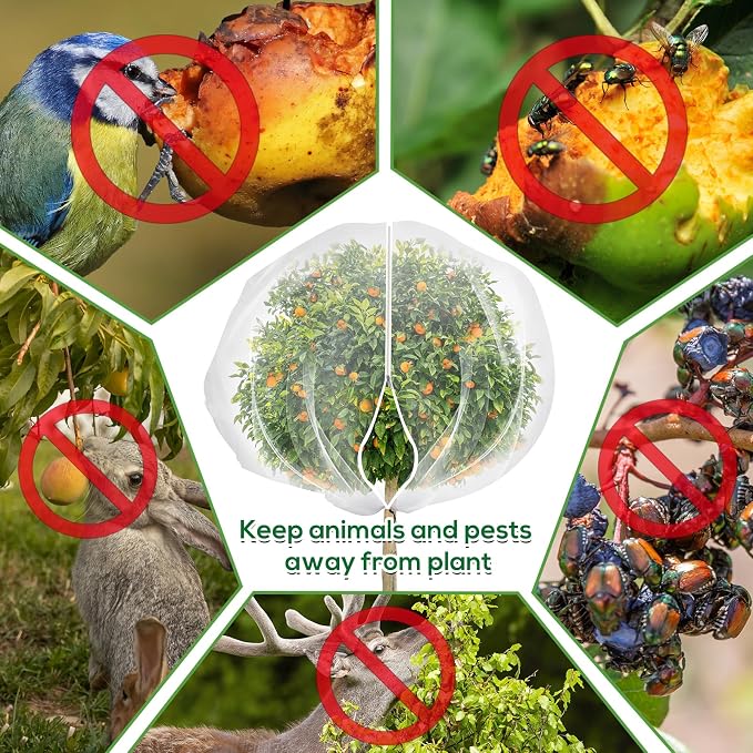 9.8 x 9.8 ft Large Fruit Tree Netting Cover