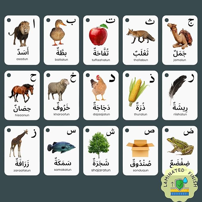 Arabic Alphabet Flash Cards for Kids Toddler and Adults, Arabic First Words, Letter Recognition, Homeschool Learning, Arabic Teacher