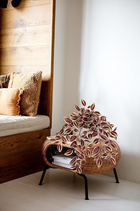 Briful Faux Plants Indoor Fake Potted Silk Plants Artificial Watermelon Peperomia Draping Plant for Home Office Room Kitchen Shelf Cabinet Tabletop Decoration(Dark Red - 1 Pack)