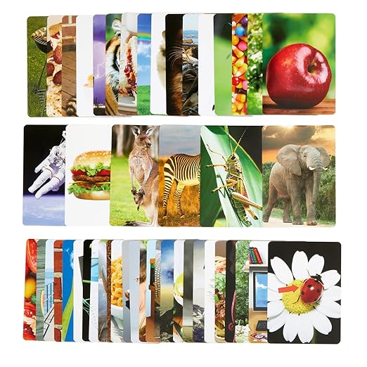 Really Good Stuff Syllable Photo Cards - 48 Cards
