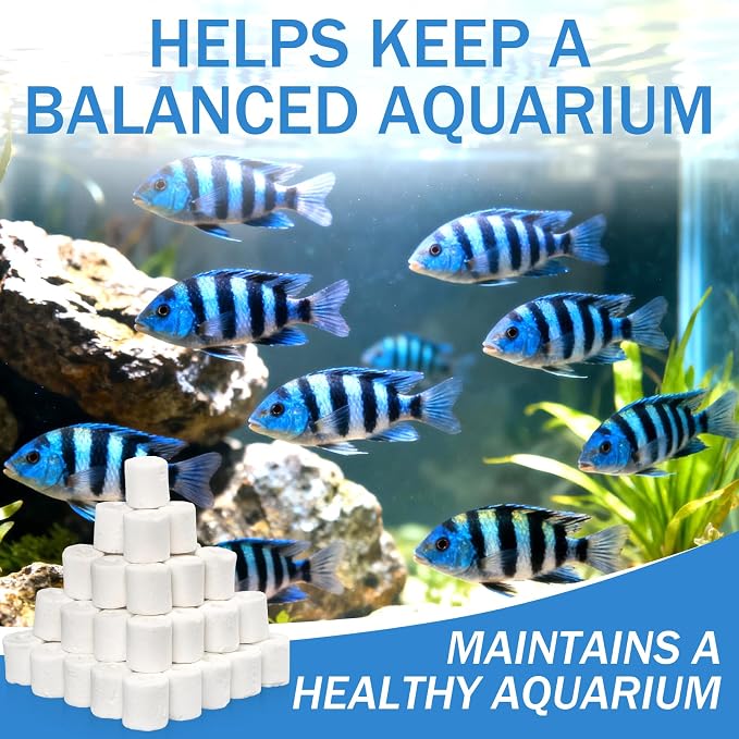 Sukh 3 Bags Ceramic Rings for Aquarium Filter - 425g Bio Ceramic Media Balls