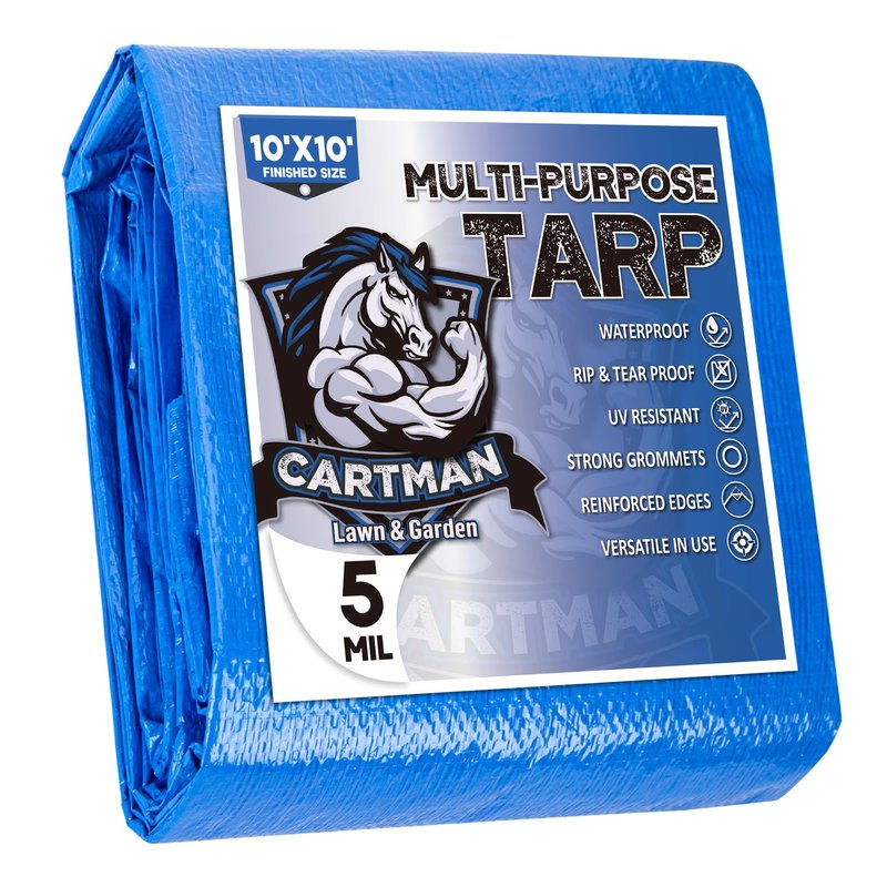 CARTMAN Finished Size 10x10 Feet Blue Poly Tarp 5 Mil Thick, Multipurpose Protective Cover for Camping, Tent, Boat, RV, Car