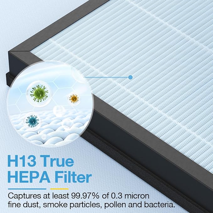 2 Pack HAP603 Replacement Filter Compatible