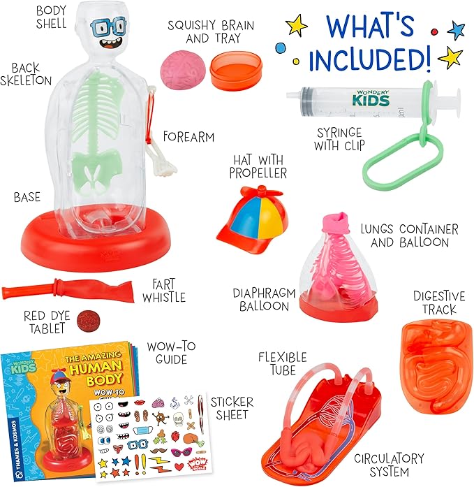 Wow in The World The Amazing Human Body Kit by Thames & Kosmos, Interactive Mechanical Anatomy Model w/Pumping Heart, Lungs, Digestive Tract, Glow-in-The-Dark Bones, Brain & More, Science for Ages 4+