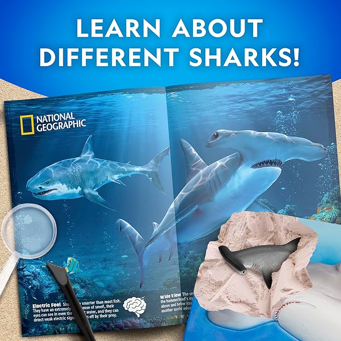 National Geographic Shark Dig Kit - Excavation Science Kit with 2 Shark Figurines for Kids, Includes Dig Tool, Science Kits for Kids Age 8-12