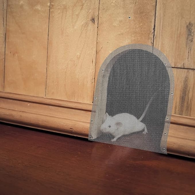 Stainless Steel Woven Wire Mesh Metal Woven Mesh, 20 Mesh Stainless Steel Air