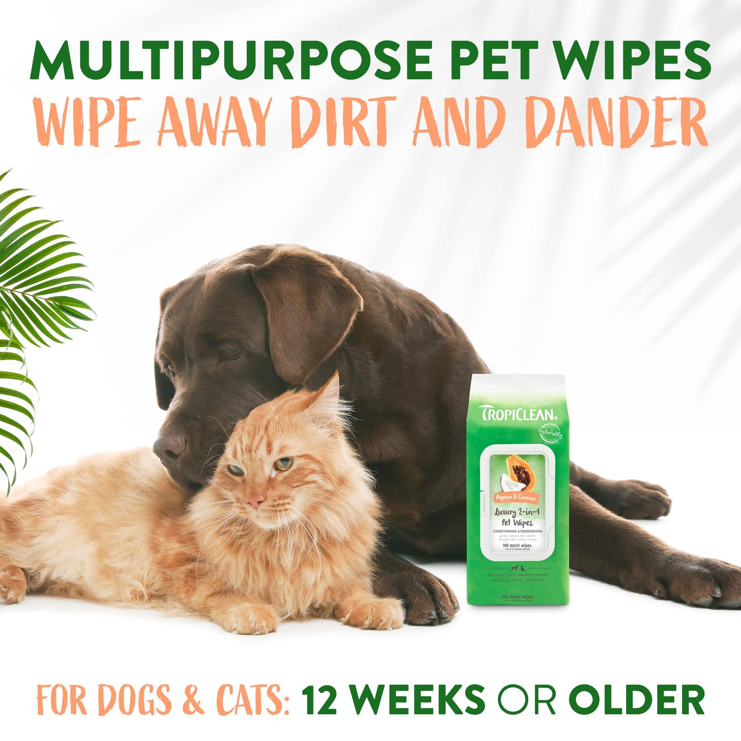 TropiClean Dog Wipes for Paws, Butt, Face, and Body, Anytime Cleaning and Deodorizing Pet Wipes, Safe for Licking, Papaya Scent, Cat Safe, 100ct