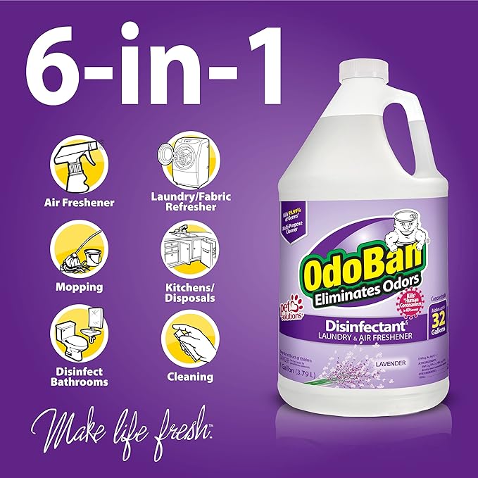 OdoBan Ready-to-Use Disinfectant and Odor Eliminator, Made in the USA, Lavender Scent, Set of 2, 32 oz Spray and 1 Gallon Concentrate