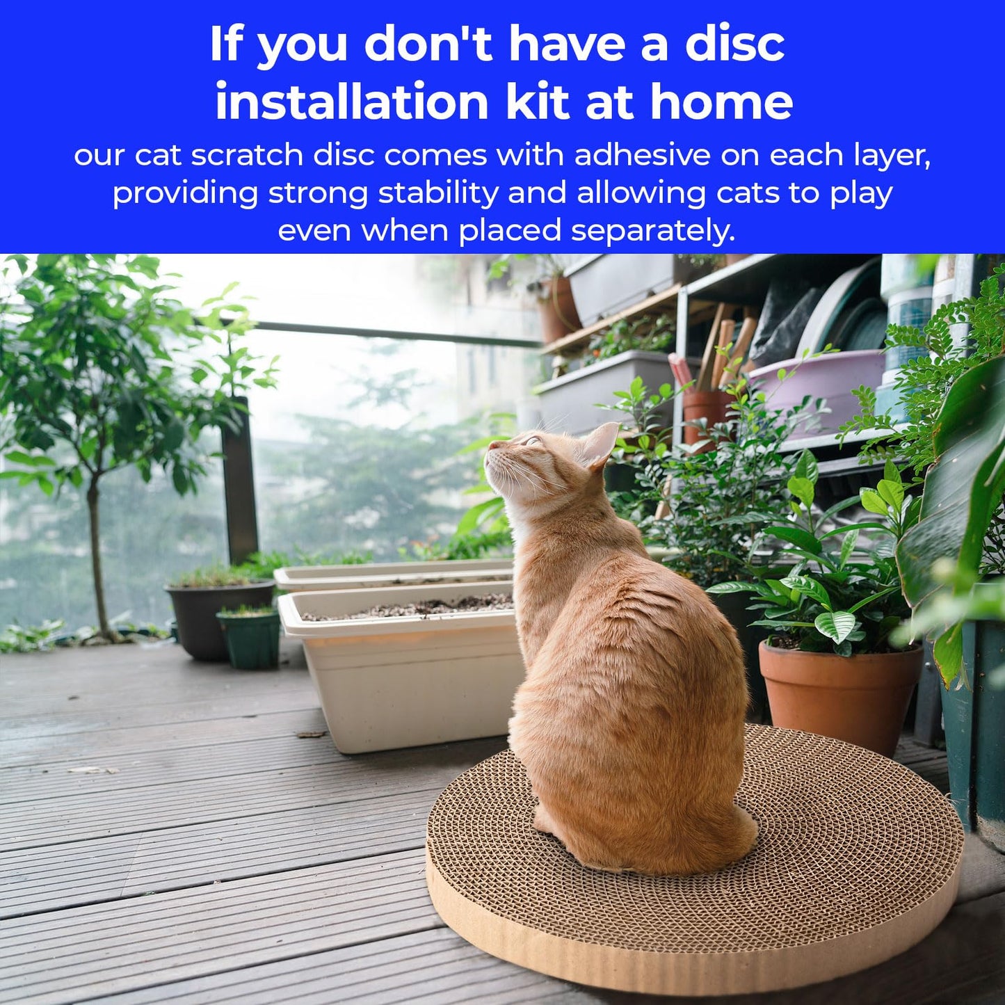 Round Cat Scratcher Refill - 10 Inch Diameter, 7/8 Inch Thickness - Cardboard Cat Scratcher Scratching Board Replacement Pads (2pcs) for Indoor Cats