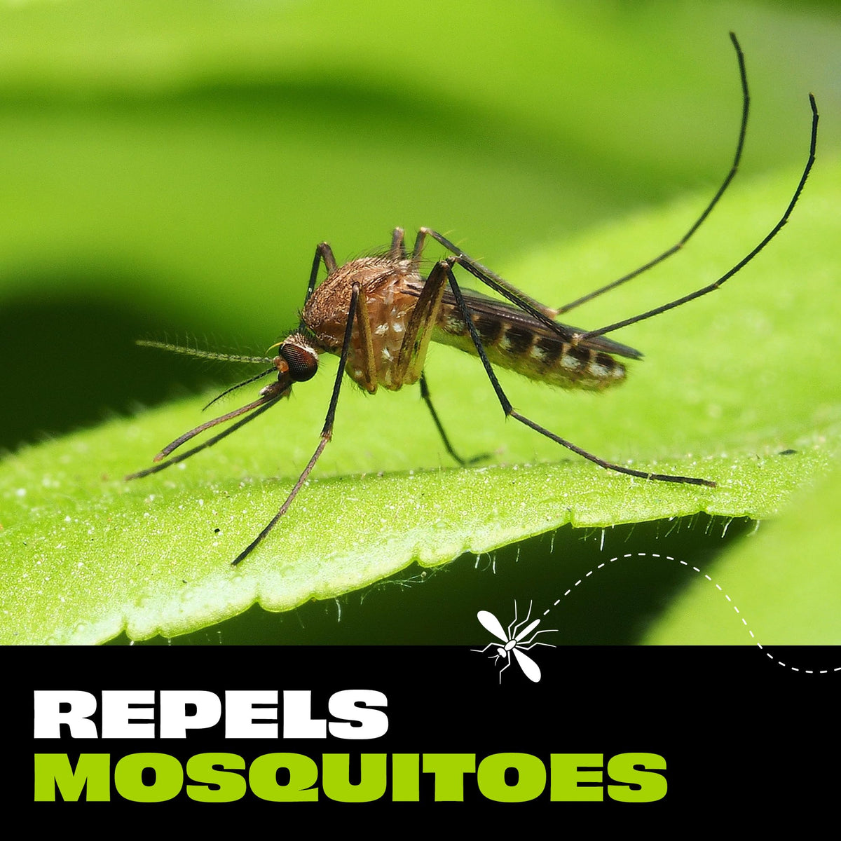 Stem Repels Mosquitoes: Mosquito Repellent Spray With Botanical Extracts; 2 fl oz (Pack Of 1)