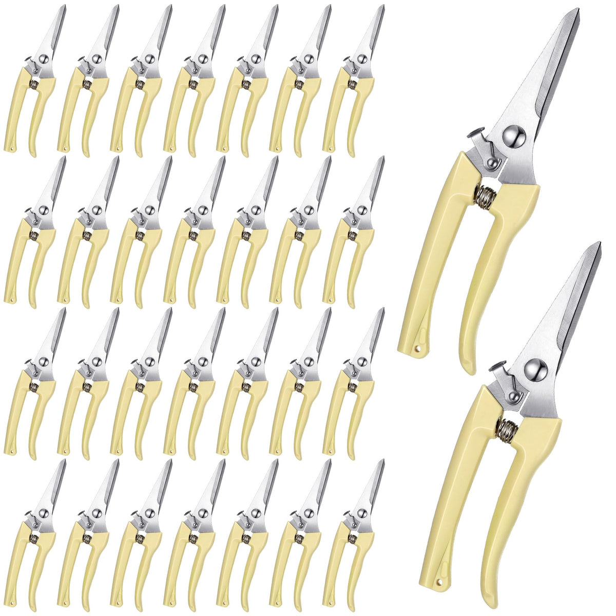 Chumia 30 Pcs Garden Shears Flower Pruning Scissors for Plants, Beige