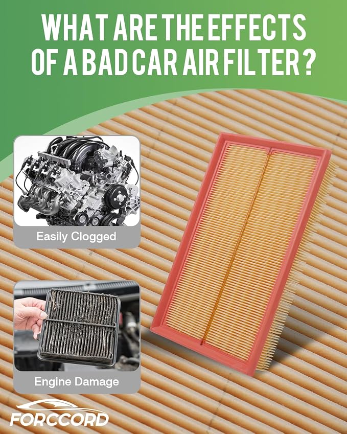 Cabin Air Filter and Engine Air Filter Fit
