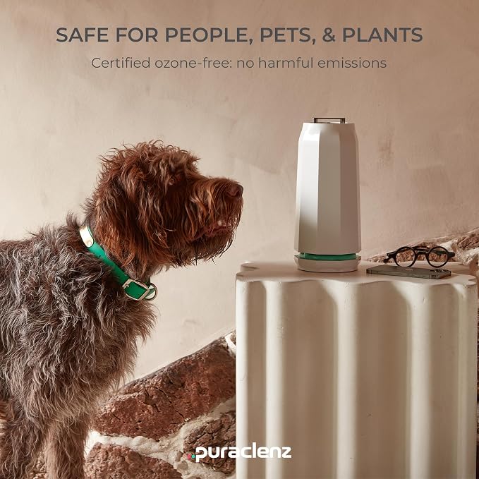Puraclenz Photon P3000X Air Purifier