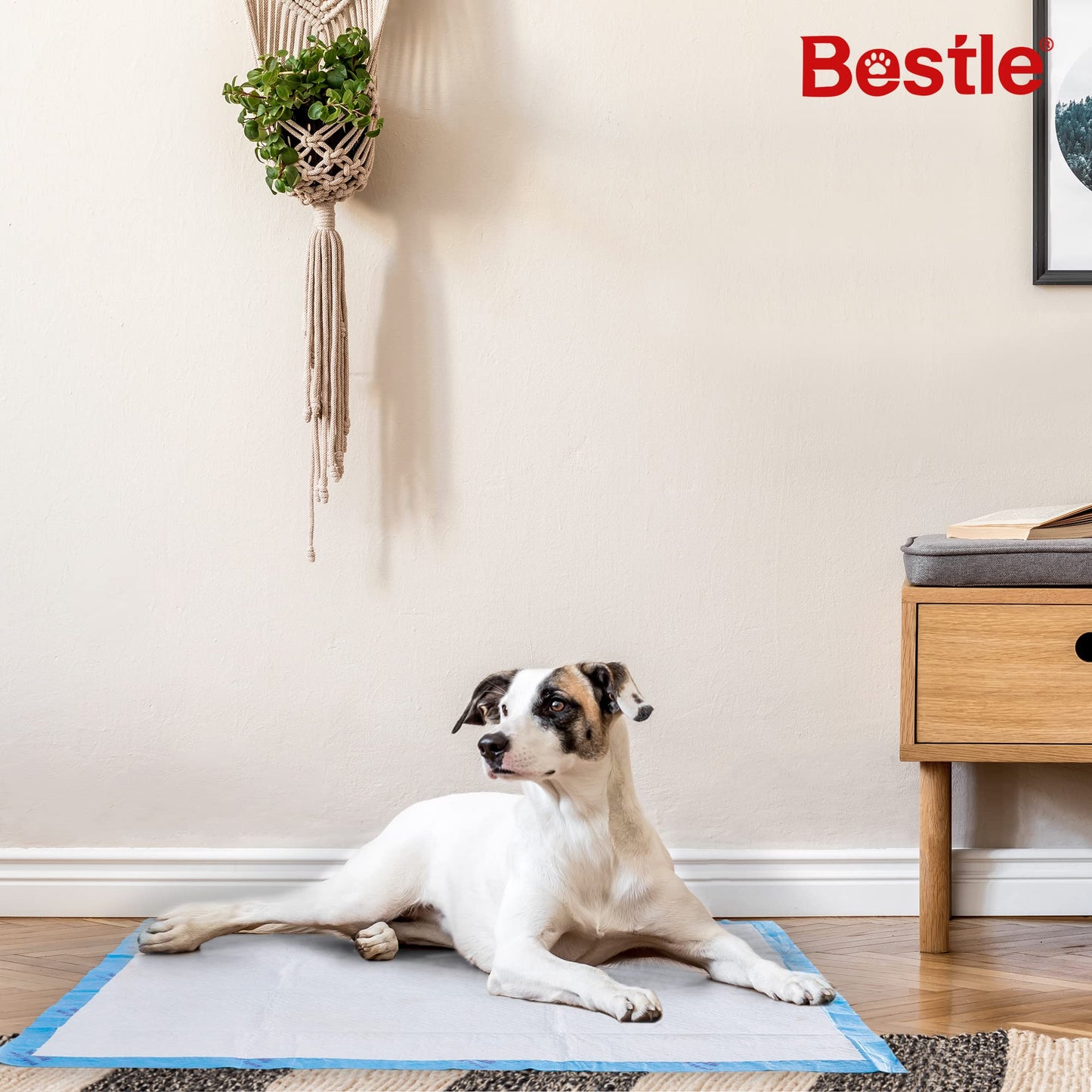 BESTLE Extra Large Pet Training and Puppy Pads Pee Pads for Dogs 28"x34" -40 Count Super Absorbent & Leak-Proof
