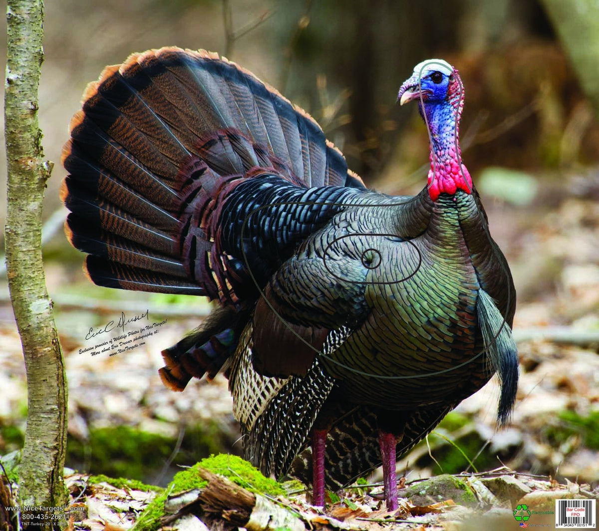 NiceTargets Turkey Archery Target, 20" x 22.5" Photorealistic Life Size Plastic Animal for Target Practice, Vanishing Vital Zones, Bow Targets for Archery Training and Hunting Practice, Made in USA