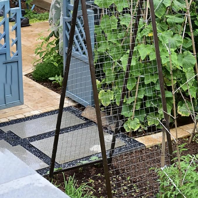 Livestock Fencing Roll Galvanised Welded Wire Mesh Roll Garden Chicken Wire
