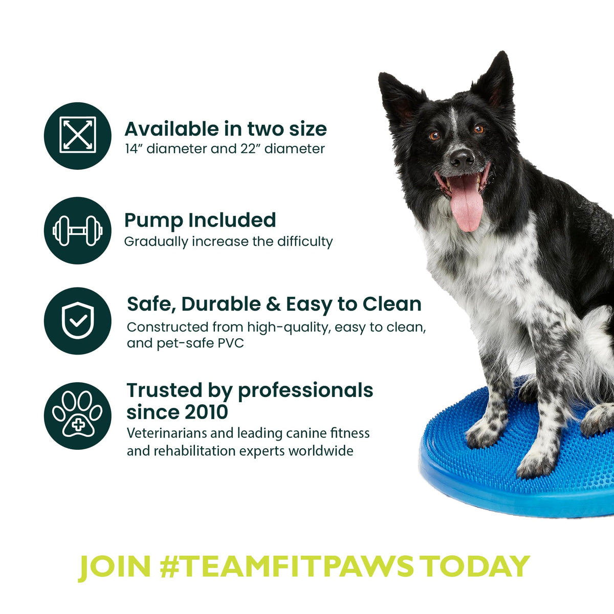 FitPAWS® Dog Balance Disc – 22”, Blue | Dog Exercise Equipment | Workout Tool for Strength, Core, Stability & Rehabilitation