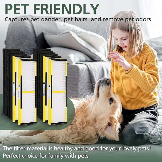 FLT4825 HEPA Filter B Replacement