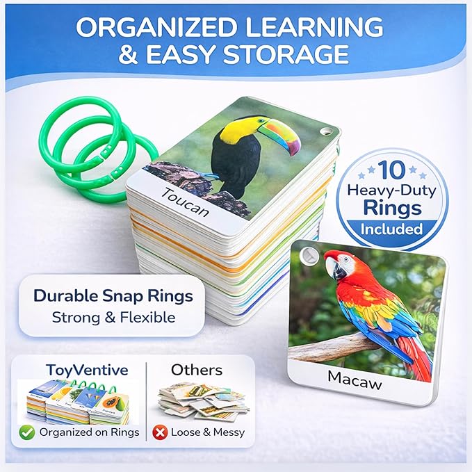 500 Words Thick & Sturdy Learning Flash Cards for Toddlers 1-3 with Rings - 1 Year Old Girl Gifts - Educational & Montessori Toys for 1 Year Old boy - Toddler Flashcards for Preschool & Kindergarten