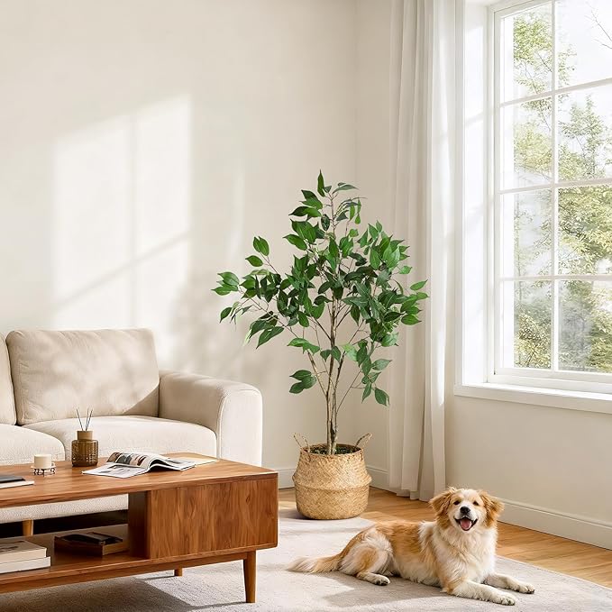 4FT Ficus Trees Artificial Indoor, Faux Silk Plant with Natural Wood Trunk and Lifelike Fruits, Black Imitation Ceramic Planter with Green Fake Moss for Modern Home Office Living Room Decor