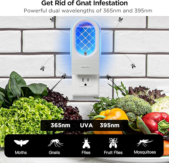 Fruit Fly Traps/Gnat Traps for Indoors, UV＆Blue Light Plug-in Gnats Killer Bug Trap, NAT Killer, Flying Insect Catcher Trap for Fruit Flies, Moths, Mosquitoes, Fungus, Get Rid of Gnat Infestation