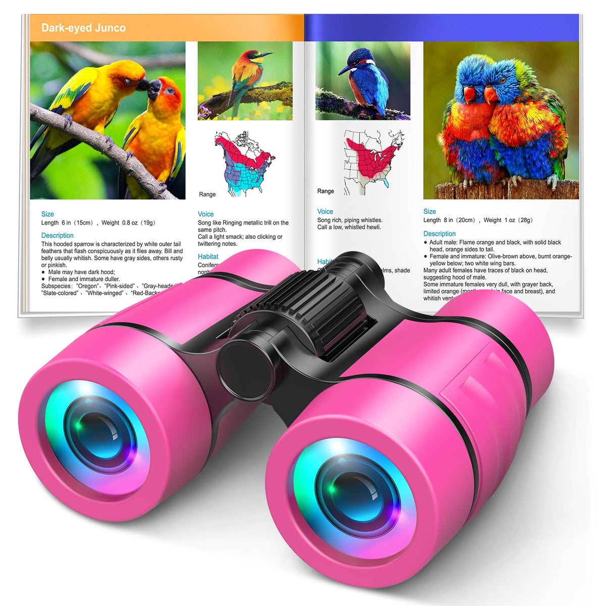 Toys for 3-7 Year Old Girls: LET'S GO! Binoculars for Kids Bird Watching|Camping|Hiking 3 4 5 6 7 8 Year Old Girl Boy Birthday Gifts Outdoor Toy for Kid Ages 4-6 Toddler Gift Stuffers