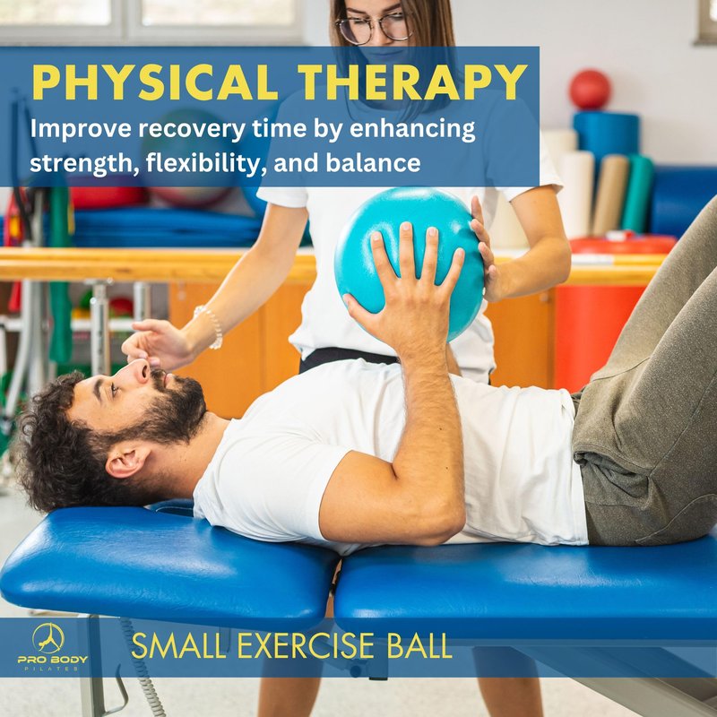 ProBody Pilates Small Exercise Ball - 9 Inch Workout Ball for Stability, Barre, Yoga, Core & Physical Therapy, Home Gym & Office Use (Teal)
