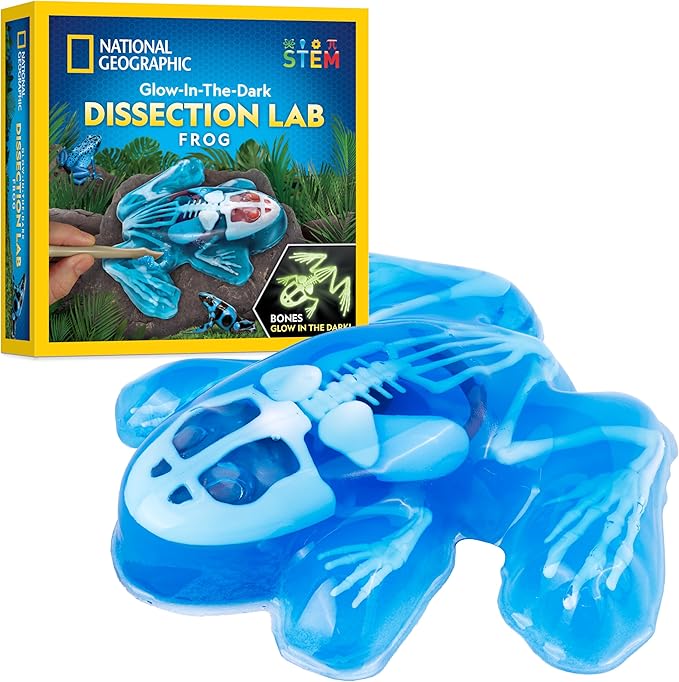 NATIONAL GEOGRAPHIC Frog Dissection Kit Anatomy Lab - Glow in the Dark Synthetic Frog Dissecting Science Lab for Kids with Dissecting Tools, Glowing Bones & Realistic Organs, Science Toys, Biology Kit