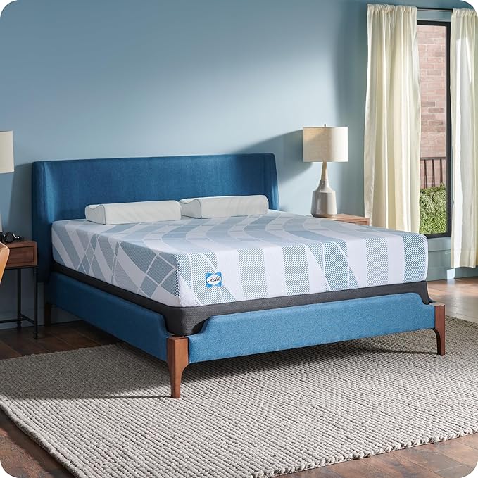 Sealy Dreamlife 10” Foam Mattress-in-a-Box, Queen, SealyComfort Gel Memory Foam, Surface-Guard Technology, 10 Year Limited Warranty, Made in The USA