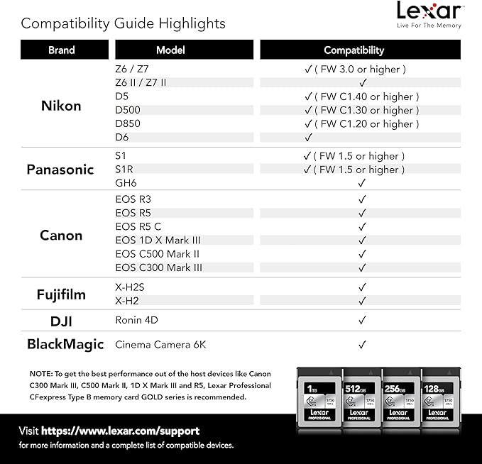 Lexar 128GB Professional CFexpress Type B Silver Series Memory Card, for Photographers, Videographers, Up to 1750/1300 MB/s, 8K Video (LCXEXSL128G-RNENG)