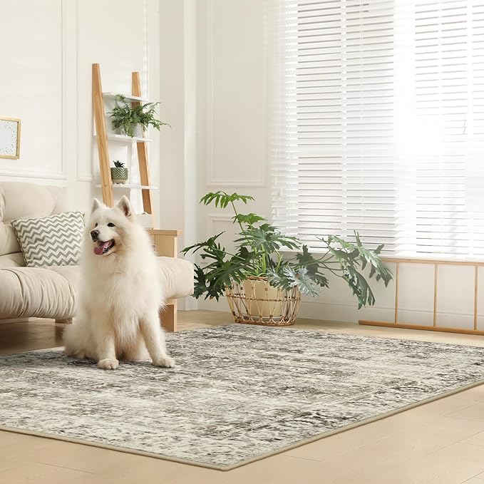 Lahome Washable Rug 6x9 Beige Area Rugs for Living Room,Boho Soft Room Rugs for Bedroom Indoor Carpet,Vintage Non-Slip Low-Pile Accent Rugs Dining Room Office Playroom(6 x 9,Beige)