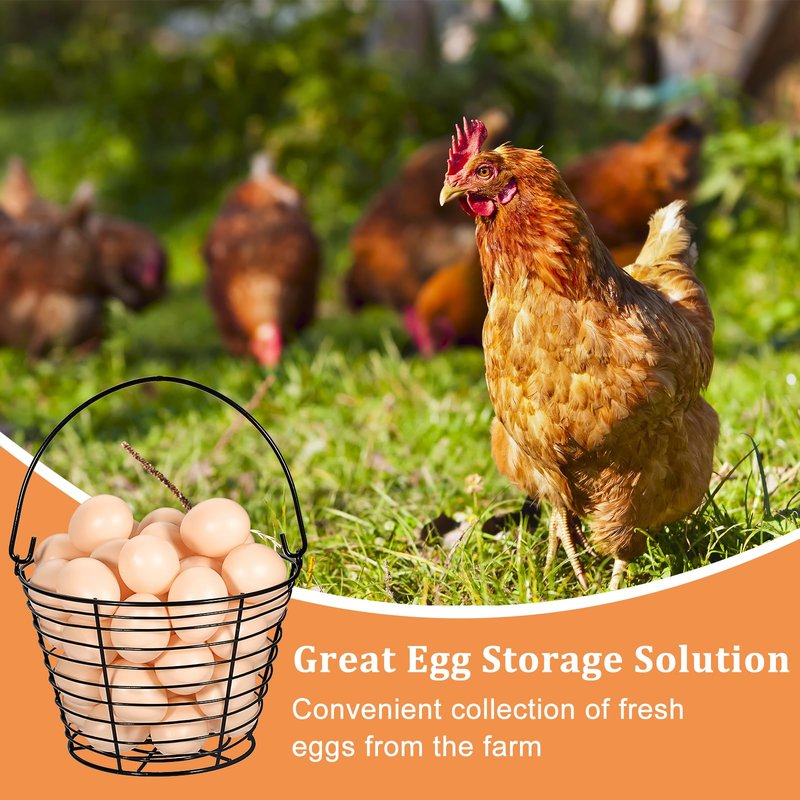 OGANAZI 3 PCS 8" Black Round Wire Egg Baskets With Handle, Small Metal Egg Collecting Basket for Gathering Fresh Eggs, Chicken and Duck Eggs Hunting Basket Egg Holder Countertop