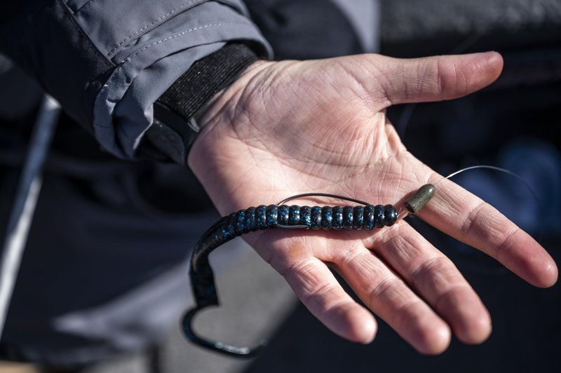Berkley PowerBait® Power Worm Fishing Bait, Black Blue Fleck, 7in | 18cm, Irresistible Flavor, Classic Curly Tail Worm Profile, Ideal for Spring, Summer and Fall Fishing