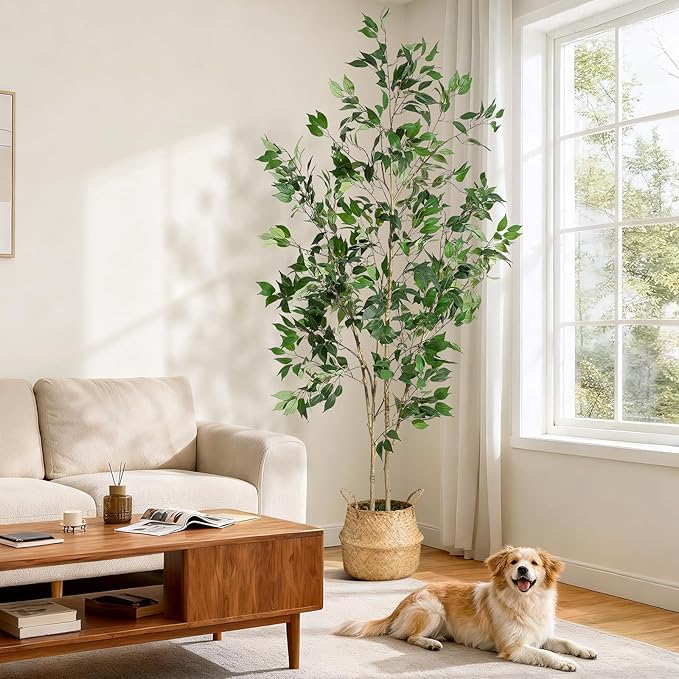 7FT Ficus Trees Artificial Indoor, Faux Silk Plant with Natural Wood Trunk and Lifelike Fruits, White Imitation Ceramic Planter with Green Fake Moss for Modern Home Office Living Room Decor