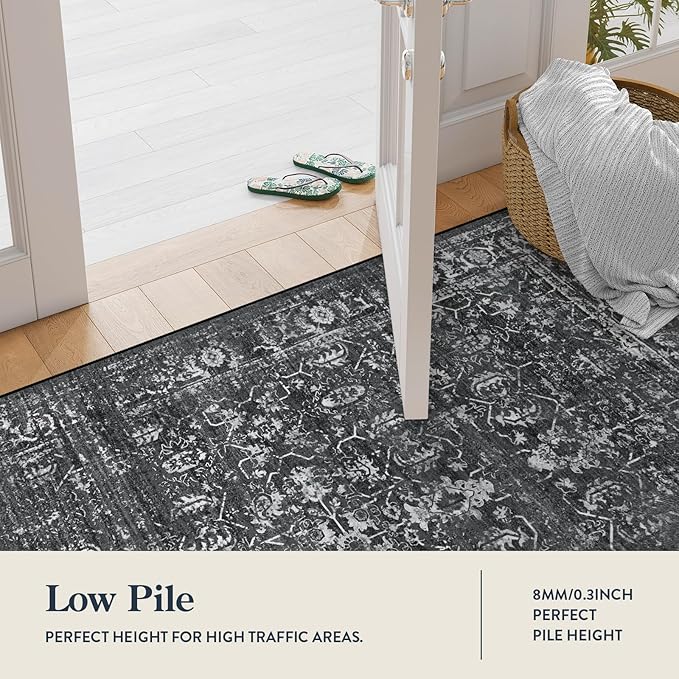 Lahome Washable Black 4x6 Area Rugs for Living Room Bedroom, Boho Vintage Non Slip Stain Resistant Floor Dining Room Carpet for Office Entrance Decor