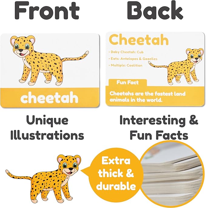 Animal Flash Cards for Toddlers & Kids – Animal ABC Flashcards – Animal Alphabet - 101 Toddler Flashcards – Preschool Flash Card for Kids – Farm, Sea, Jungle, Forest & Birds - Ages 2 3 4 and 5