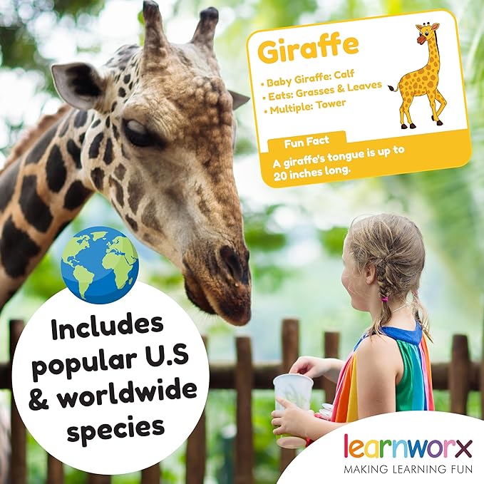 Animal Flash Cards for Toddlers & Kids – Animal ABC Flashcards – Animal Alphabet - 101 Toddler Flashcards – Preschool Flash Card for Kids – Farm, Sea, Jungle, Forest & Birds - Ages 2 3 4 and 5