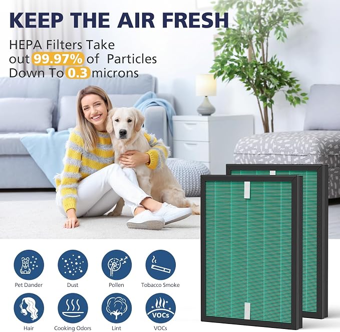 2 Sets 150 Filter Replacement for Coway Airmega 150 150 Air Purifier, 2 X HEPA