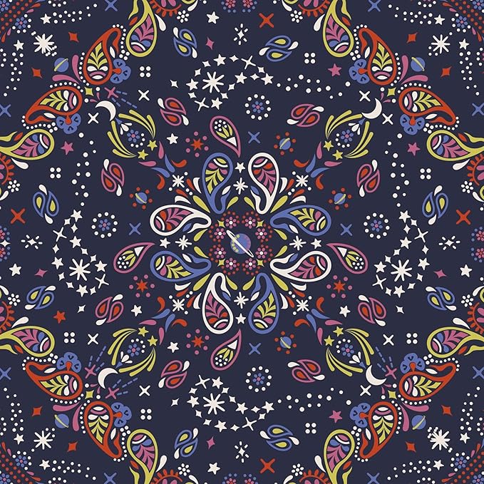 Premium Cotton Large Lunch Bag, Starry Paisley, One Size