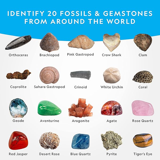 National Geographic Mega Fossil and Gemstone Dig Kit - Excavate 20 Real Fossils and Gems, Science Kit for Kids, Rock Digging Excavation Kit, Geology Gifts for Boys and Girls