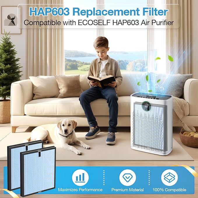 2 Pack HAP603 Replacement Filter Compatible