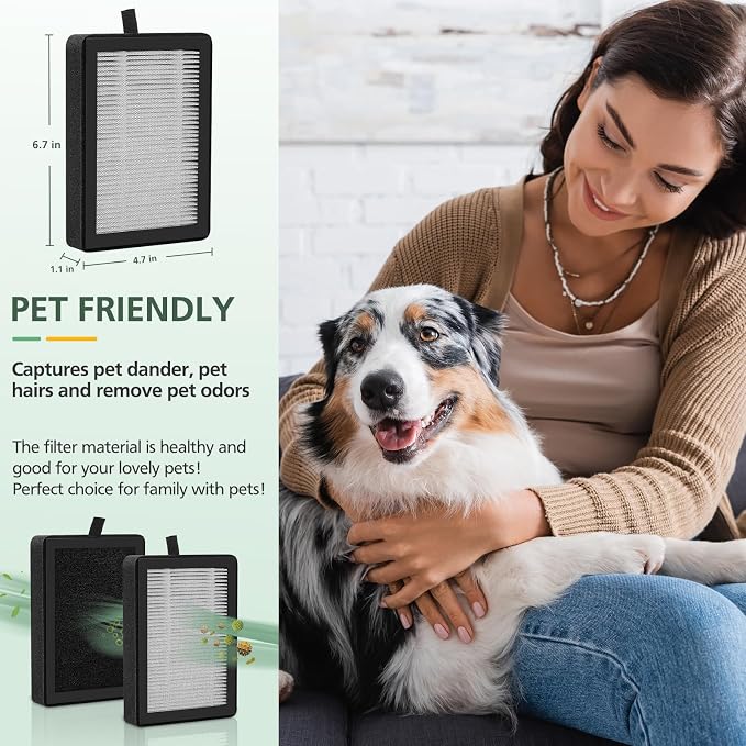 isinlive LV-H128 Air Purifier Replacement Filter Compatible