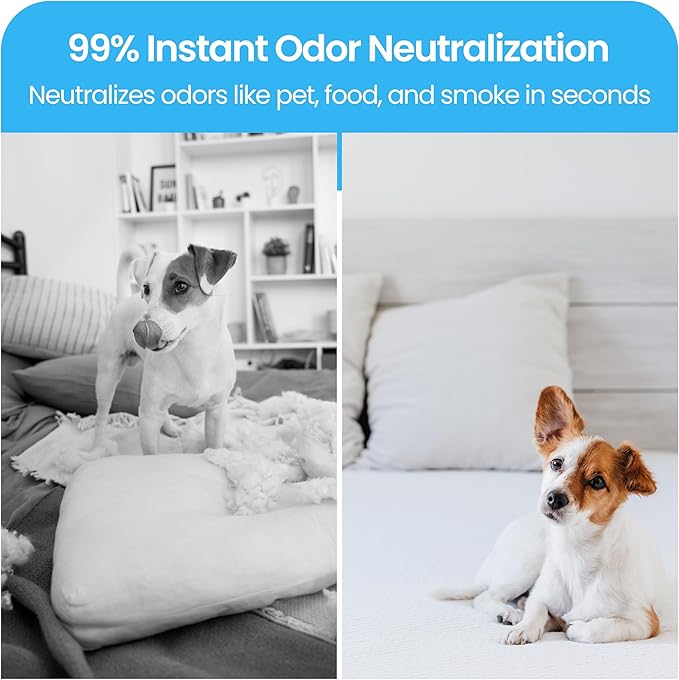 LAVONS Fabric Spray Freshener for Carpet Fresh, Pet Safe Linen Spray for Bedding, Organic Fabric Refresher Spray for Home & Offices, Natural Carpet Freshener from Japan, 12.5 Fl Oz LOVELY CHIC
