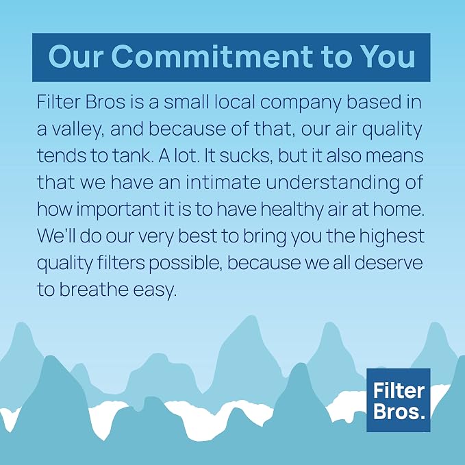 Filter Bros HRF-A300 6 Activated Carbon Replacement Fits Honeywell HPA300 Series